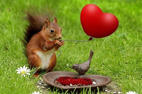 Download Valentine Heart Animal Royalty Free Stock Illustration