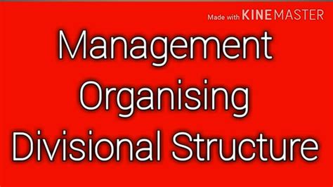 Divisional Structure Of Organisation Youtube