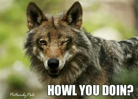 Wolf Puns