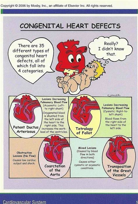 Congenital Heart Defects Pediatric Nursing Neonatal Nurse Nicu Nurse