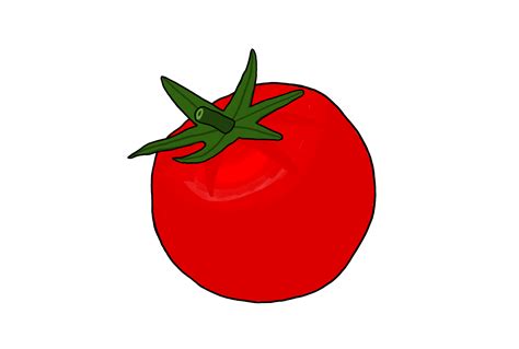 Drawing A Day Day 8 Tomato