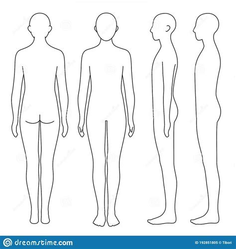 Human Body Outline Front Back And Side Vector File Set Stock Vector Illustration Of
