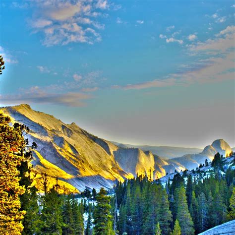 Tioga Pass Yosemite National Park All You Need To Know Before You Go