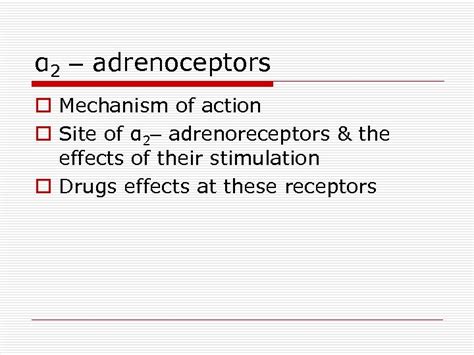 Adrenergic Antiadrenergic Drugs By Prof Alhaider