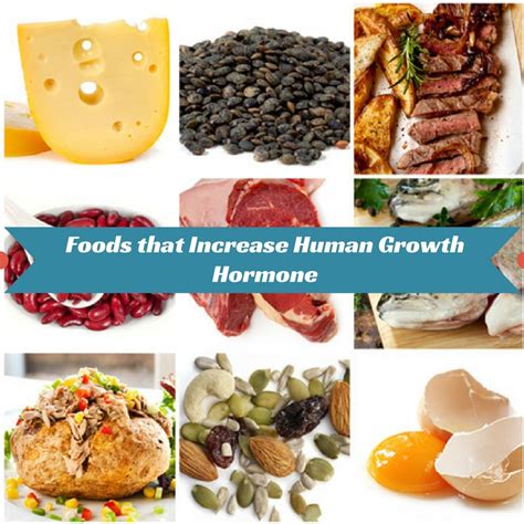 Foods That Increase Human Growth Hormone Naturally