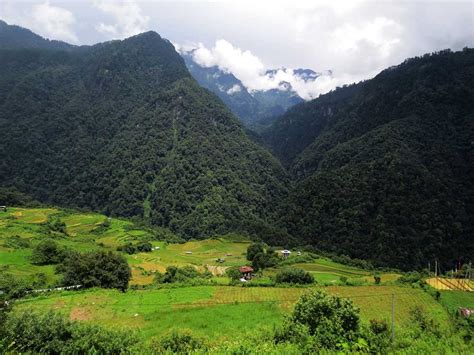 Flora And Fauna Of Bhutan Rich Biodiversity Of The Himalayan Kingdom