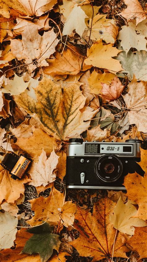 Maybe you would like to learn more about one of these? Vintage Aesthetic Autumn Wallpapers - Wallpaper Cave