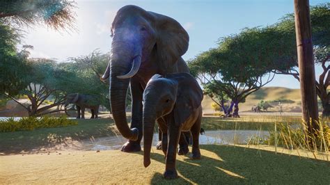 Planet Zoo Was Quietly One Of The Best Demos At E3 2019 Pcworld
