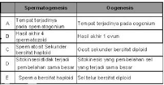 Tabel Perbedaan Spermatogenesis Dan Oogenesis Materi Belajar Online