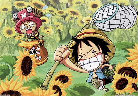 One piece wallpaper, monkey d. One Piece Chopper Wallpaper (80+ images)