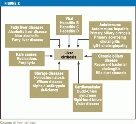The Etiology Diagnosis And Prevention Of Liver Cirrhosis