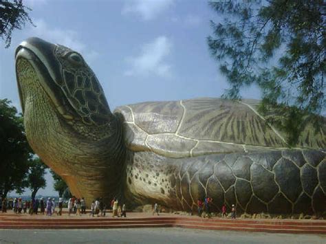 Untuk dapat mengunjungi pantai yang unik ini, para pengunjung. WISATA: MONUMEN KURA-KURA JEPARA