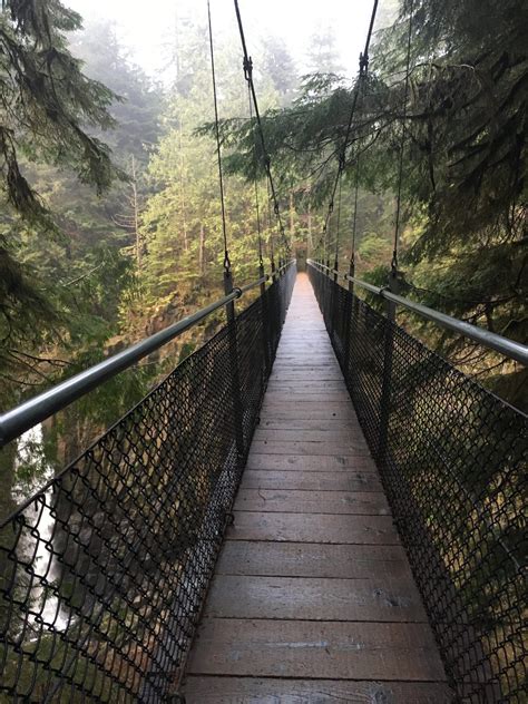 Drift Creek Falls Trail Hike To Siuslaw National Forest Waterfall Obv