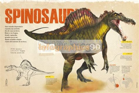 Infografía El Spinosaurus Infographics90