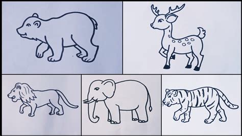 Animals Drawing How To Draw Wild Animals Easy Step By Step Youtube