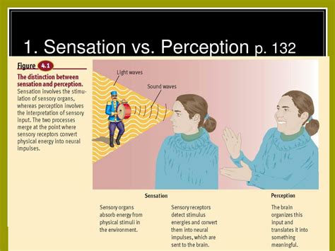 Ppt Chapter 4 Perception Powerpoint Presentation Free Download Id