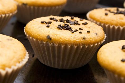 Freshly Baked Muffins In Cups Stock Photo Image Of Food Pastries