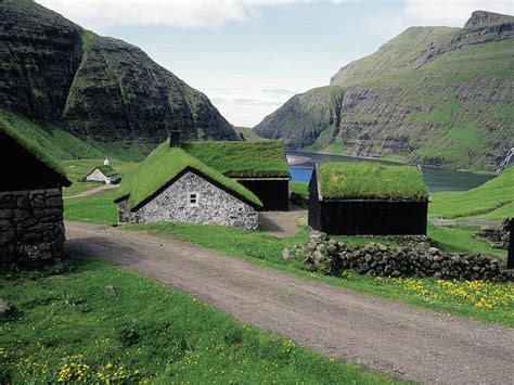 Faroe Islands Grind Whale Kill Part Of New Documentary Au