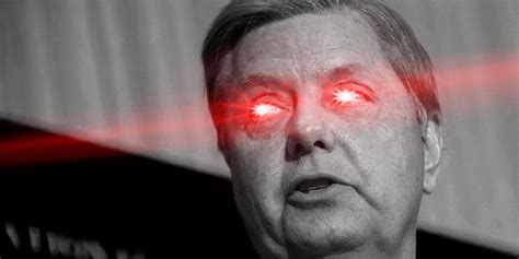 Lindsey Graham 20 Why The South Carolina Senator Is A Meme