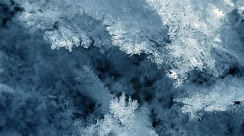 Shoot Super Close Ups Of Snowflakes Expert Photography Blogs Tip