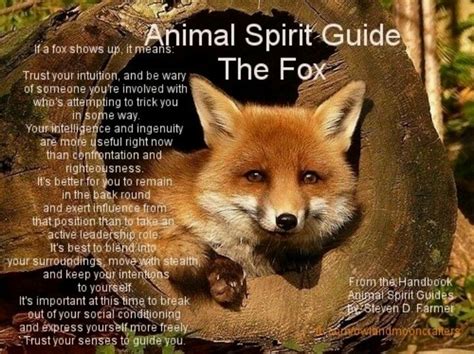 The Fox Animal Spirit Guide Animal Totem Spirit Guides Animal