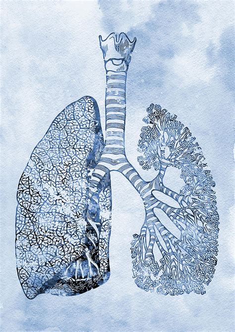 Lungs Art X Digital Art By Erzebet S Fine Art America