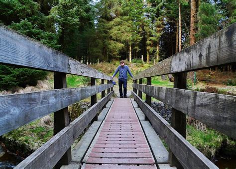 We did not find results for: Leading Lines: Learn How To Use Them To Create More ...