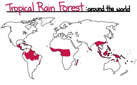 Tropical Rainforest On Map