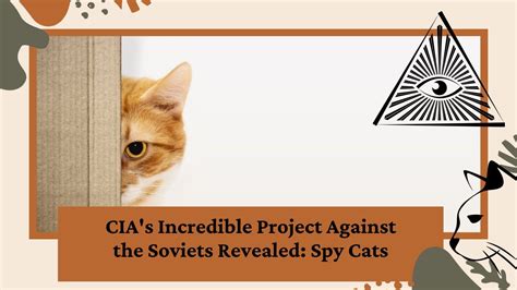 Cİas İncredible Project Against The Soviets Revealed Spy Cats Youtube