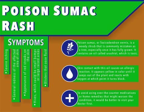 Poison Sumac Rash Symptoms Causes Treatment And Diagnosis Findatopdoc