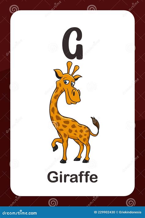 Baby Abc Flashcard G For Giraffe Letter Flashcards Color Flashcards