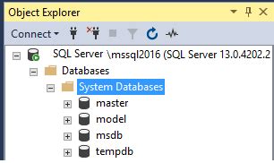 Sql Server System Databases The Model Database