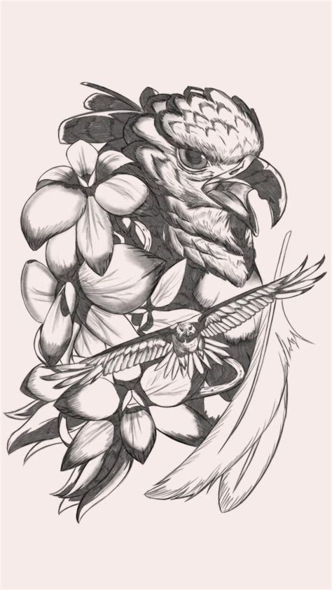 Harpy Eagle Digital Drawing Time Lapse Bird Art Digital Illustration