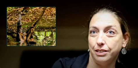 Interview with Dr. Jill Pruetz about chimpanzees in a savanna habitat