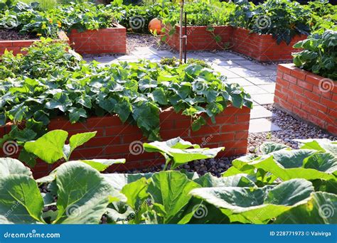 A Modern Vegetable Garden With Raised Briks Beds Raised Beds