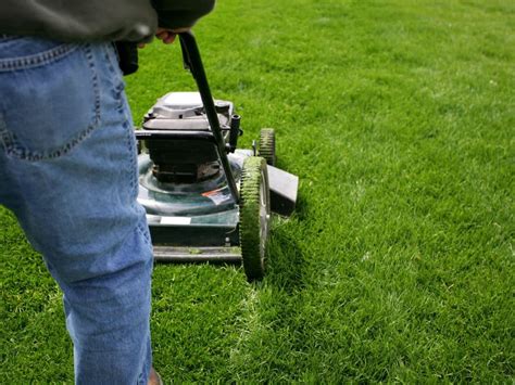 How To Start A Lawn Care Business Legally Of