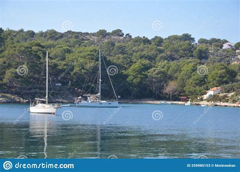 Sailing Boats In The Sea Bay In Front Of The Pine Forest Stock Image