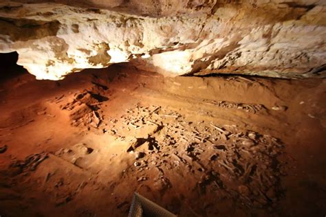 Victoria Fossil Cave Site Hours And Entry Prices Naracoorte Australia