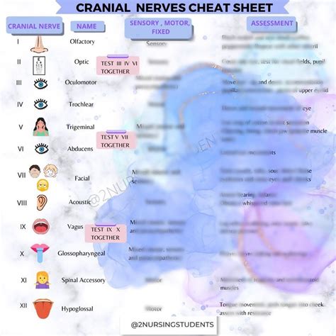 Cranial Nerves Cheat Sheet Etsy