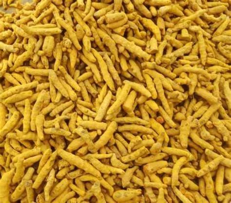 Yellow Natural Dried Turmeric Finger At Best Price In Nagaur Deepak