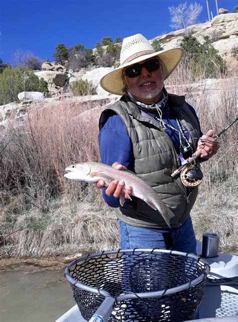 san juan river new mexico san juan basin wikipedia stream flow monday morning was 721 cfs