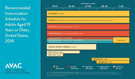 Vaccination is no doubt one of modern medicine's greatest achievements, contributing enormously to global health. Immunization schedule NEW | Adult Vaccine Access Coalition