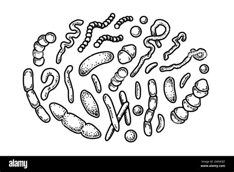 Set Of Hand Drawn Bacterias And Microorganisms Vector Illustration In