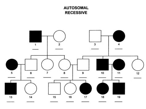 Inheritance Patterns Of Orthopaedic Syndromes Basic Science