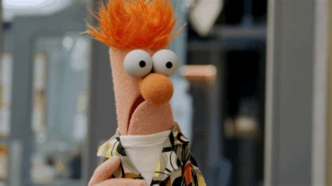 Pin By Mousemingle On Pork Roll Egg And Cheese Beaker Muppets Muppets