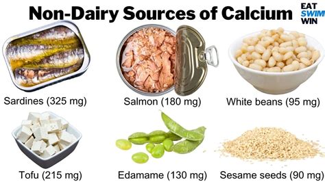 High Calcium Foods Chart Printable