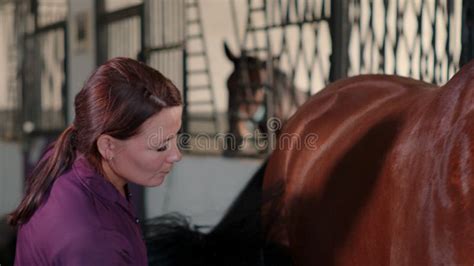 Woman Caring About Horse Brushing Her In Stable Stock Footage Video