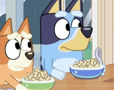 Does Bluey Cereal Exist Rbluey