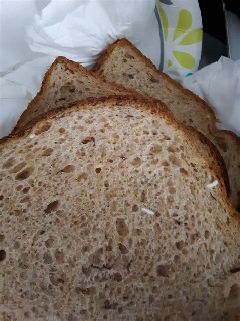 Small Hard White Thing In Whole Wheat Bread Mold Or Grain Seasoned