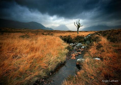 Scotland Rannoch Moor By Angie Latham Redbubble